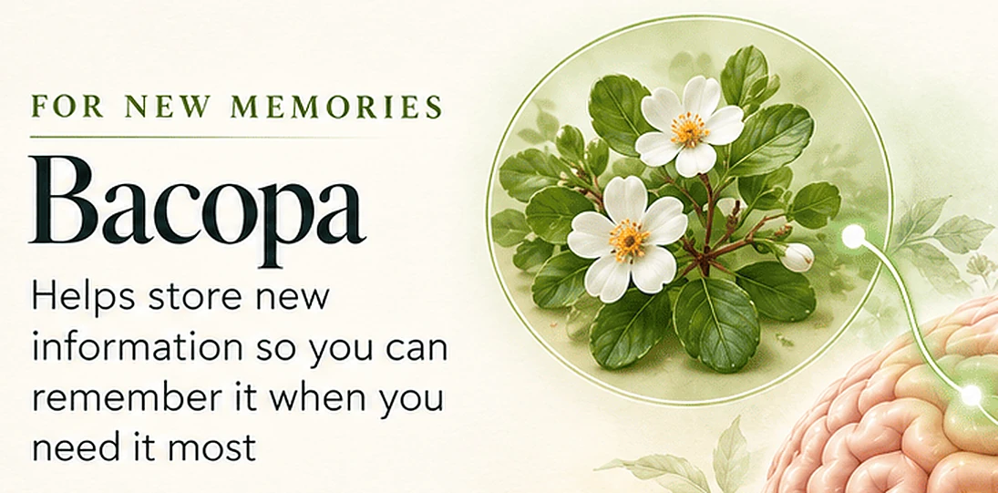 For New Memories: Bacopa. Helps store new information so you can remember it when you need it most