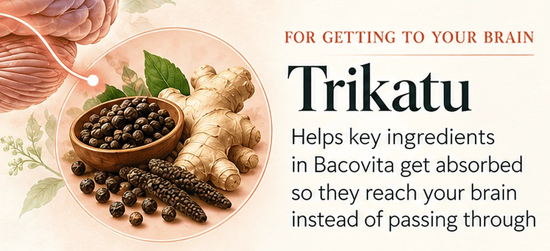 For Getting To Your Brain: Trikatu. Helps key ingredients in Bacovita get absorbed so they reach your brain instead of passing through
