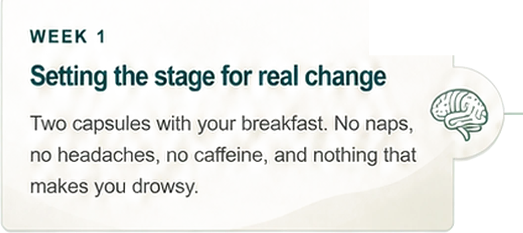 Week 1. Setting the stage for real change. Two capsules with your breakfast. No naps, no headaches, no caffeine, and nothing that makes you drowsy.