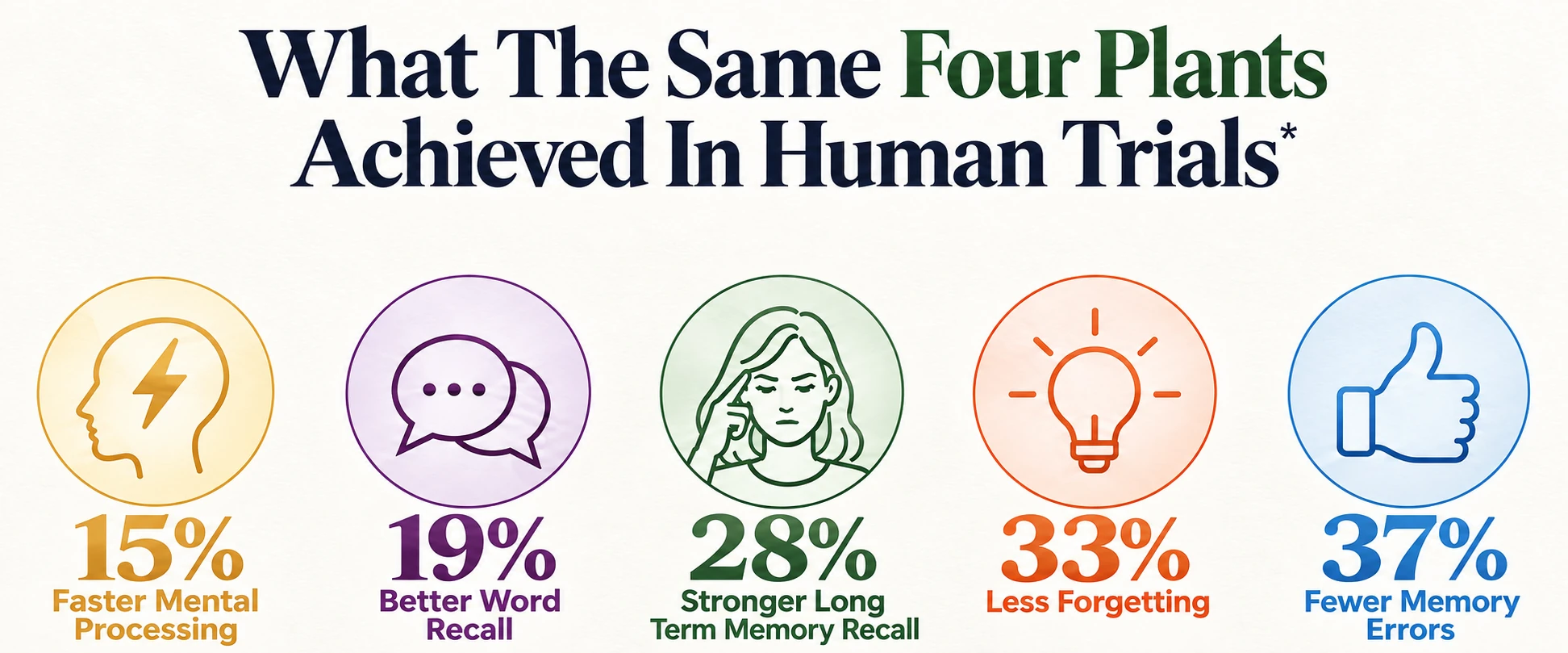 What The Same Four Plants Achieved In Human Trials: 15% faster mental processing, 19% better word recall, 28% stronger long term memory recall, 33% less forgetting, 37% fewer memory errors